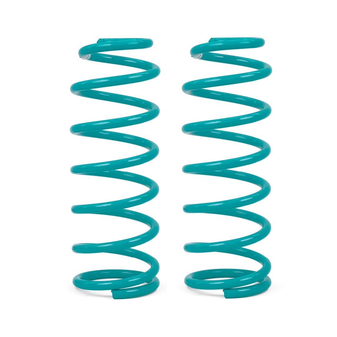DOBINSONS COIL SPRING PAIR (C09-044)