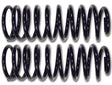07-UP FJ/03-UP 4RNR/03-UP GX REAR 2" SPRING KIT - Roam Overland Outfitters
