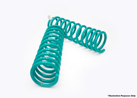 DOBINSONS COIL SPRINGS PAIR - C19-514 - Roam Overland Outfitters