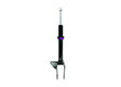 DOBINSONS 2.2" IMS MONOTUBE STRUT RH - IMS29-50742 RH - Roam Overland Outfitters