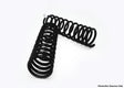 DOBINSONS COIL SPRINGS PAIR (BLACK) - C59-547B - Roam Overland Outfitters