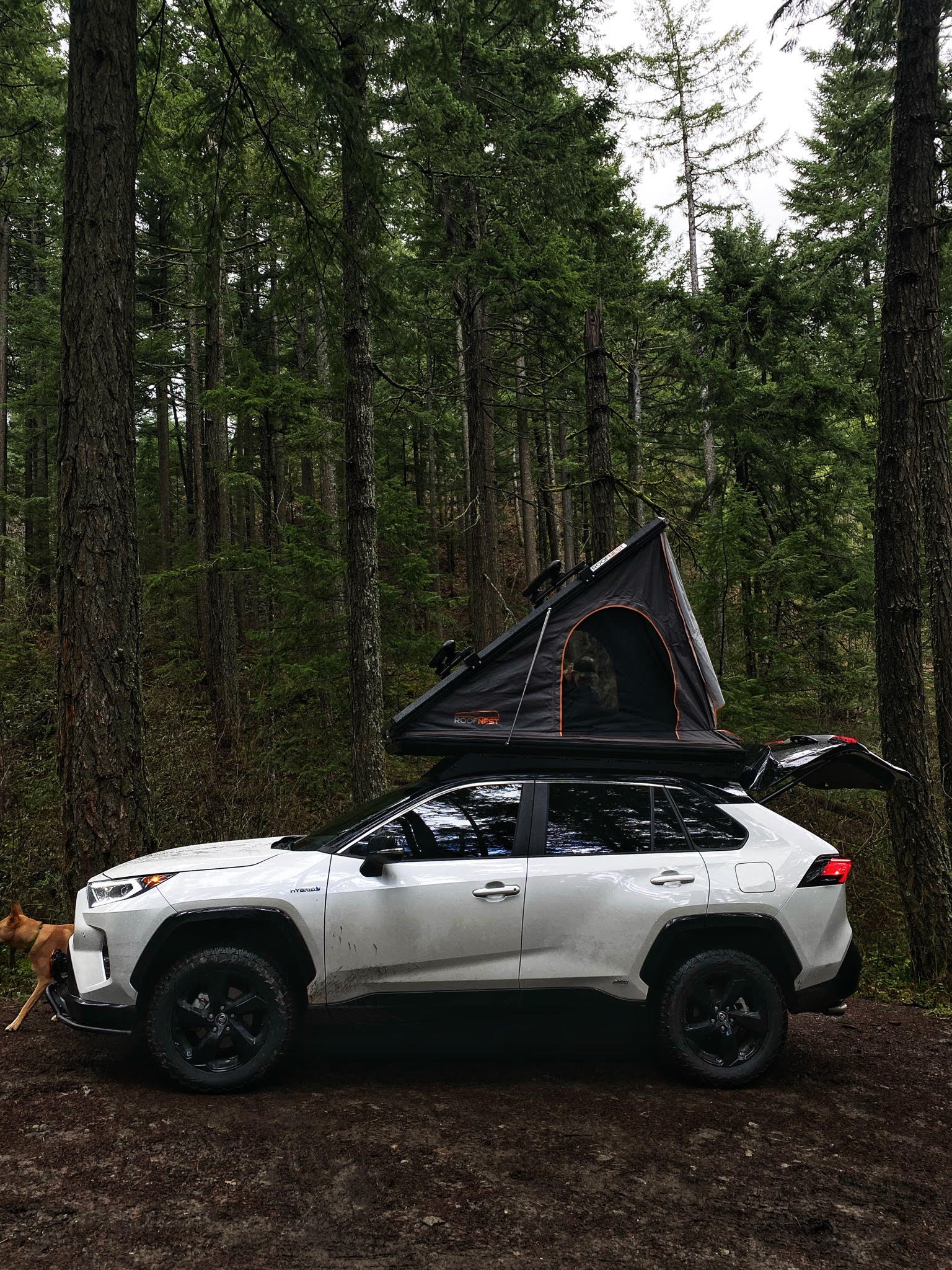 Toyota rav4 roof discount storage